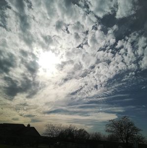 Meet your Posher, Miriam